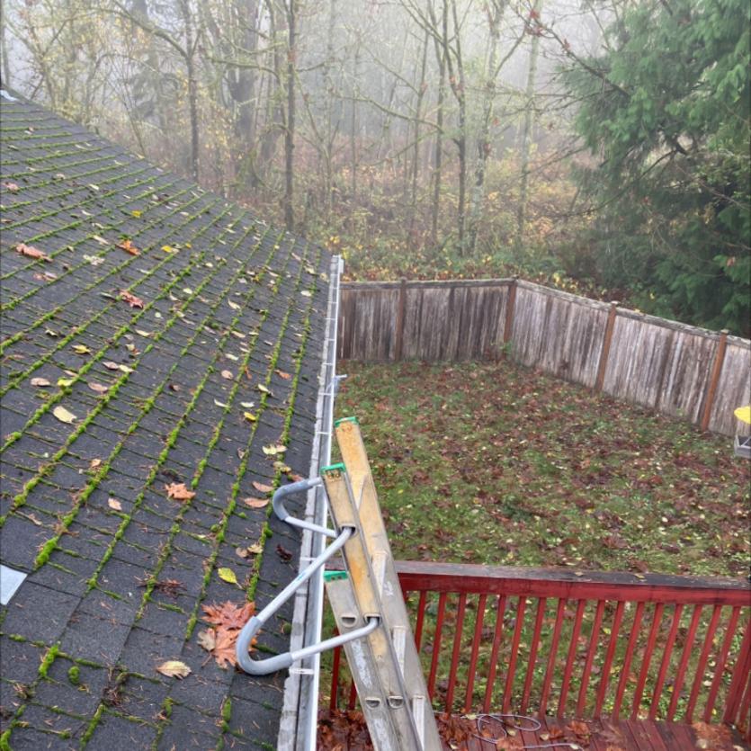 Gutter cleaning with ladder Arlington, WA