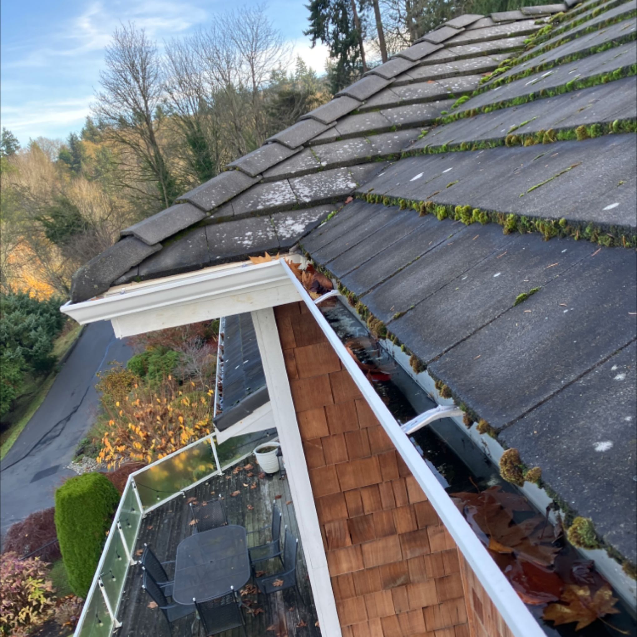 Tall gutters cleaned on a home in Edmonds, WA