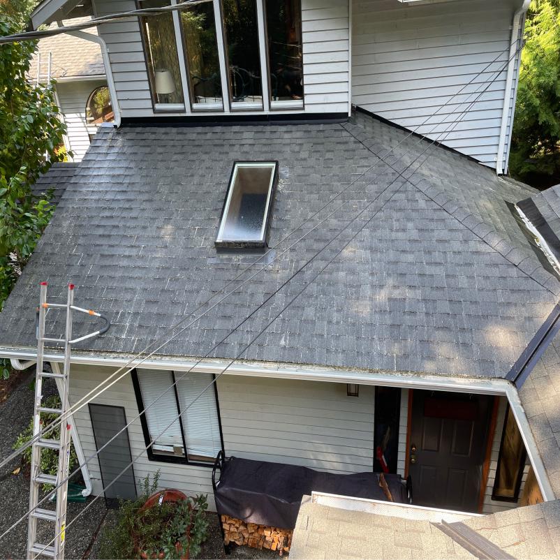Cleaning gutters with ladder and by hand Edmonds, WA