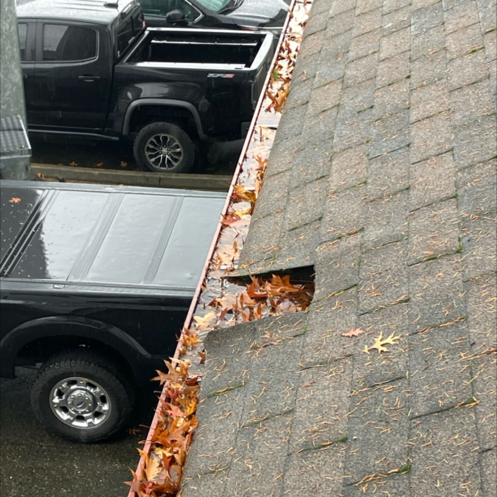 Gutter cleaning company removing clogs in Everett, WA