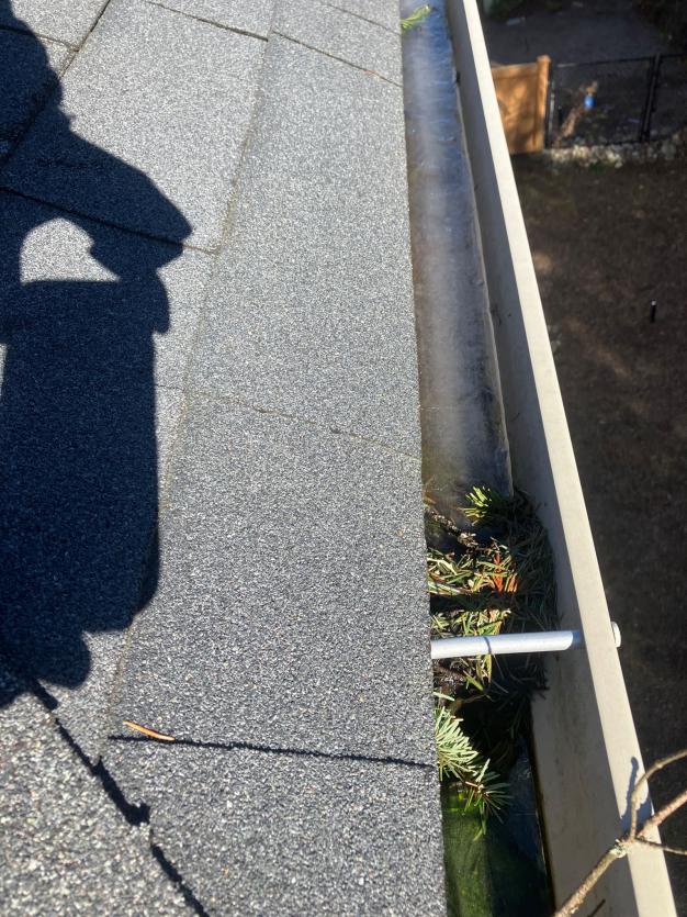 Gutter cleaning services in Fremont by Chinook exposes gutter clog on local home