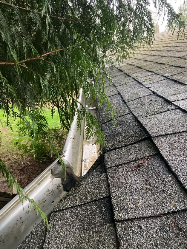 Cleaning gutters on a house in Lake Stevens, WA
