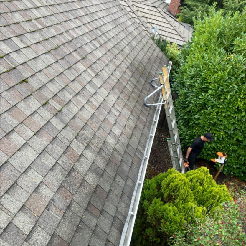 Gutter Cleaning Madison Park