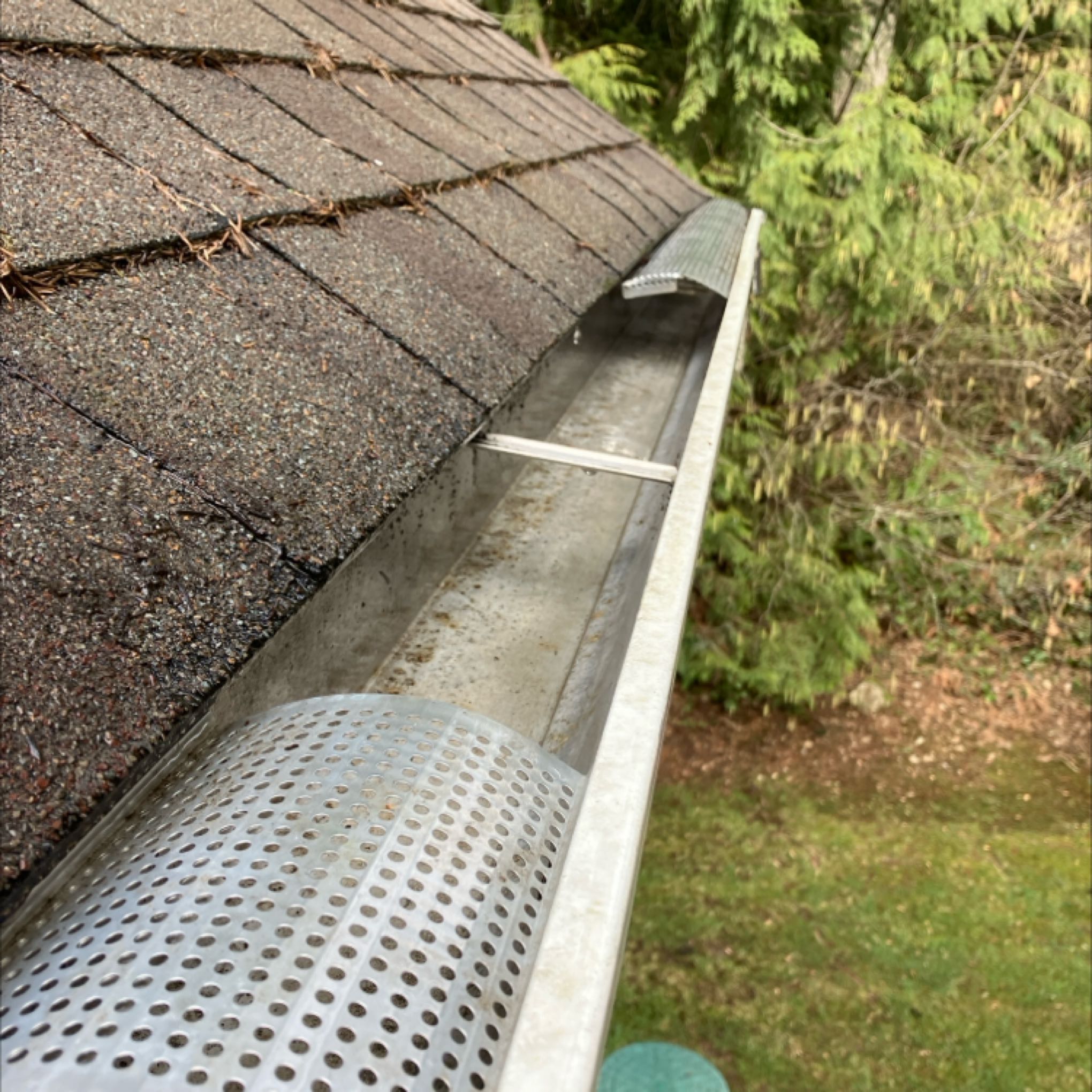 Cleaning gutters in Montlake neighborhood of Seattle