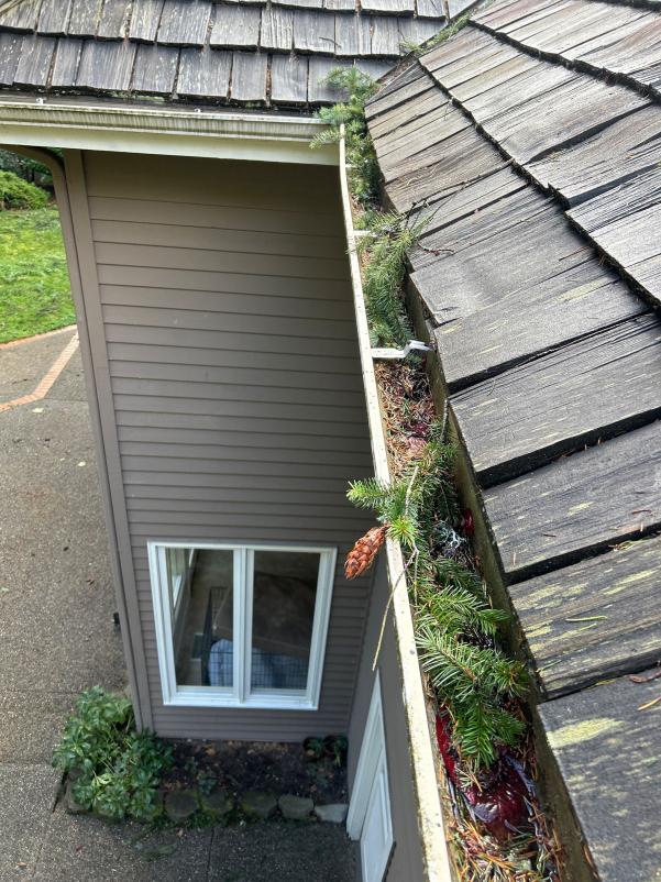 Gutters full of debris before cleaning in Northgate