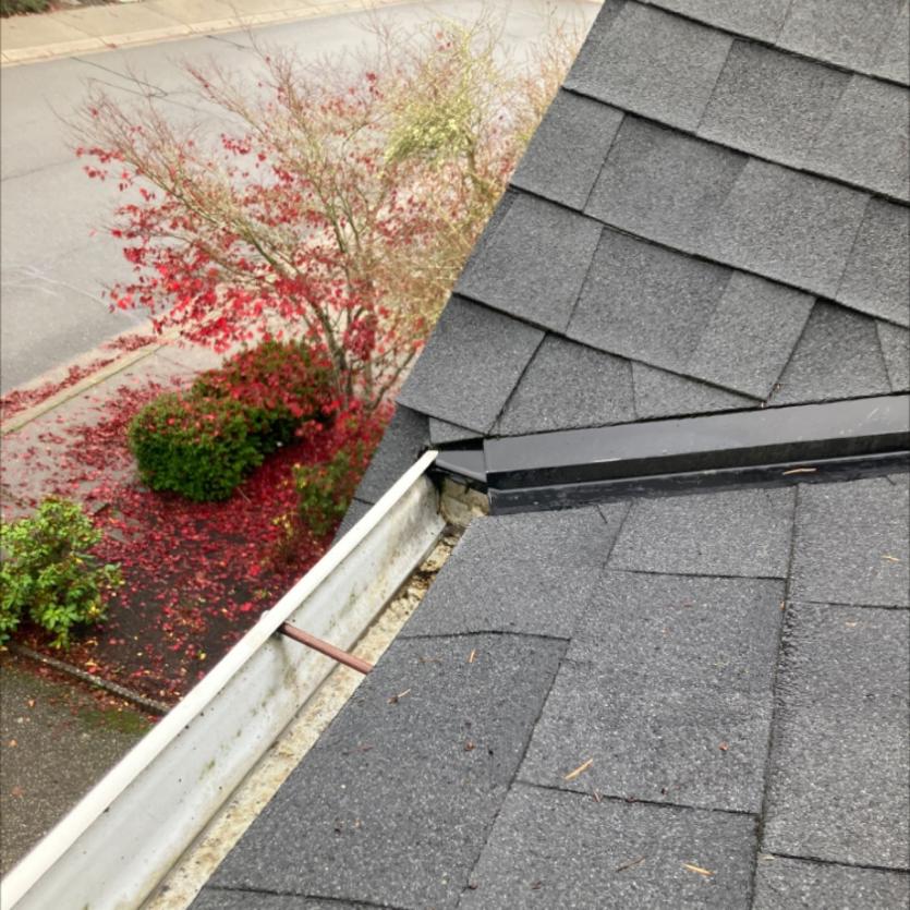 Local gutter cleaning company Chinook Services clearing gutters in Phinney Ridge neighborhod Seattle, WA