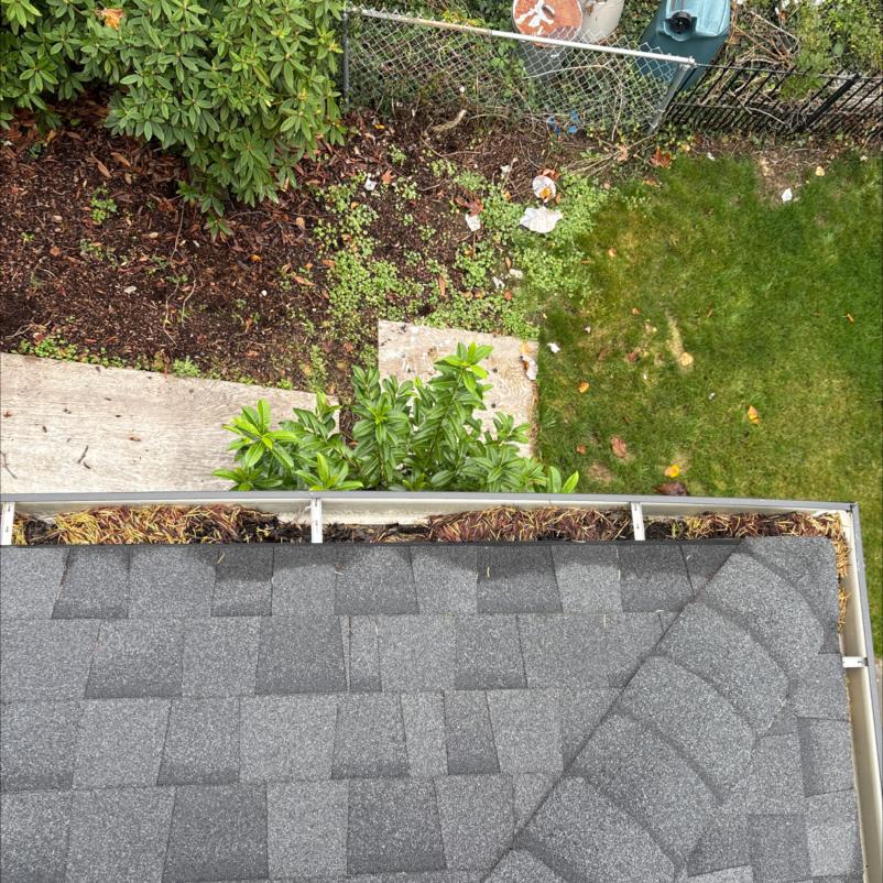 Gutter Cleaning Pinehurst (1)