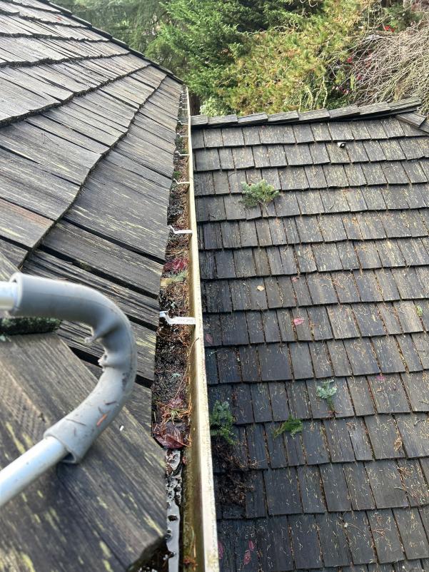 Gutters clogged and full before gutter cleaning service Pinehurst