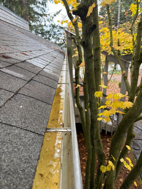 After gutter cleaning work in Seattle