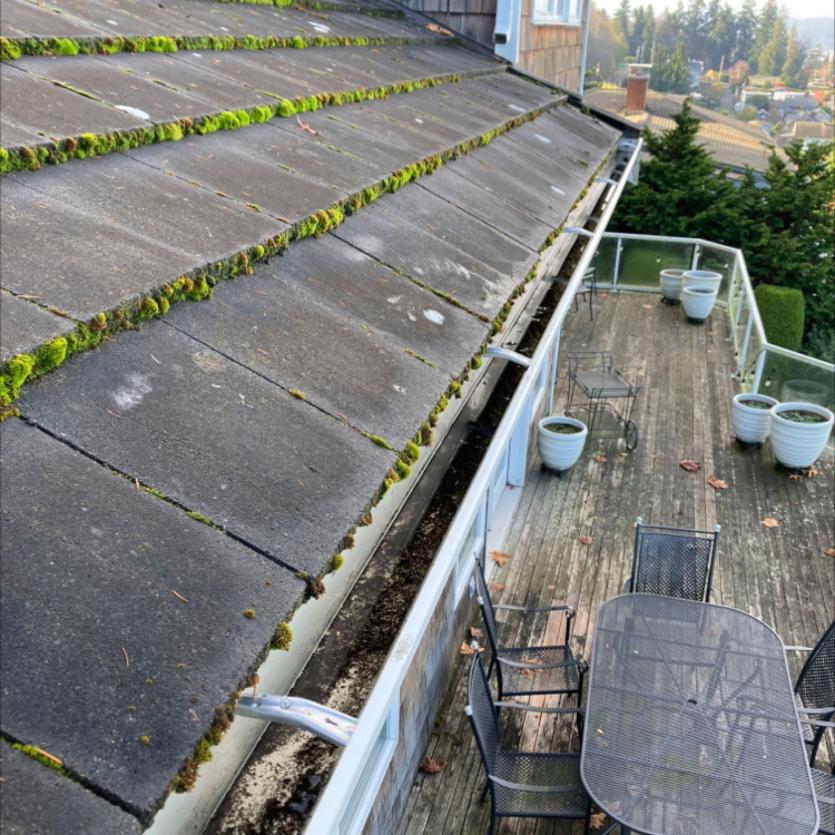 Cleaning gutters Greater Seattle