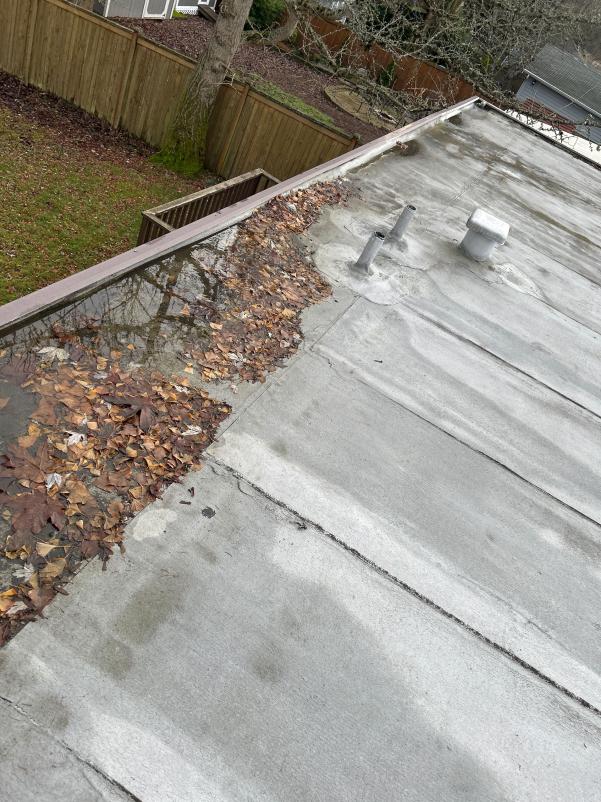 Gutter full of debris in West Seattle before gutter cleaning