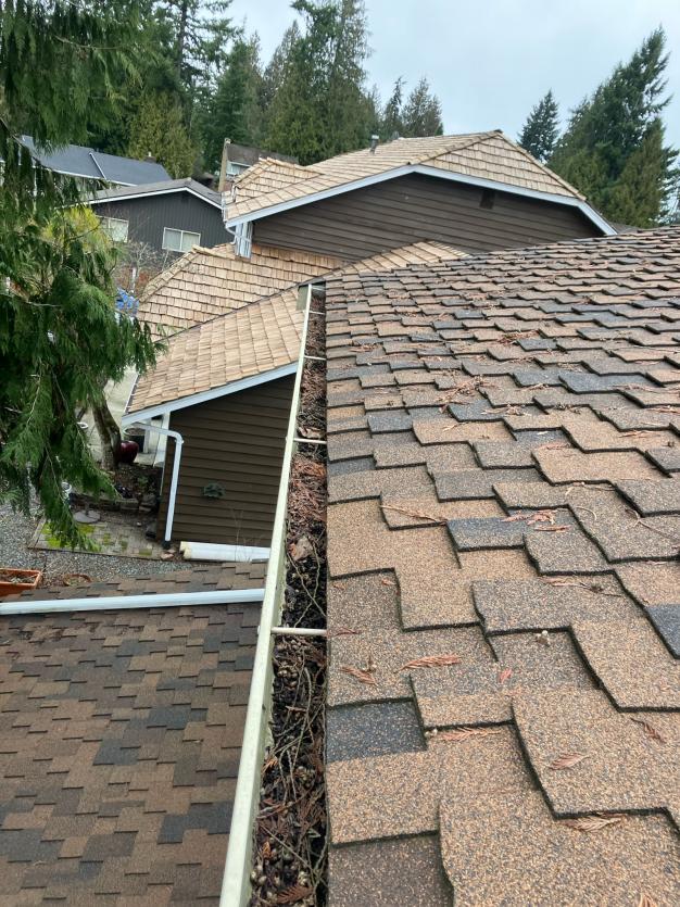 Before gutter cleaning service in West Seattle