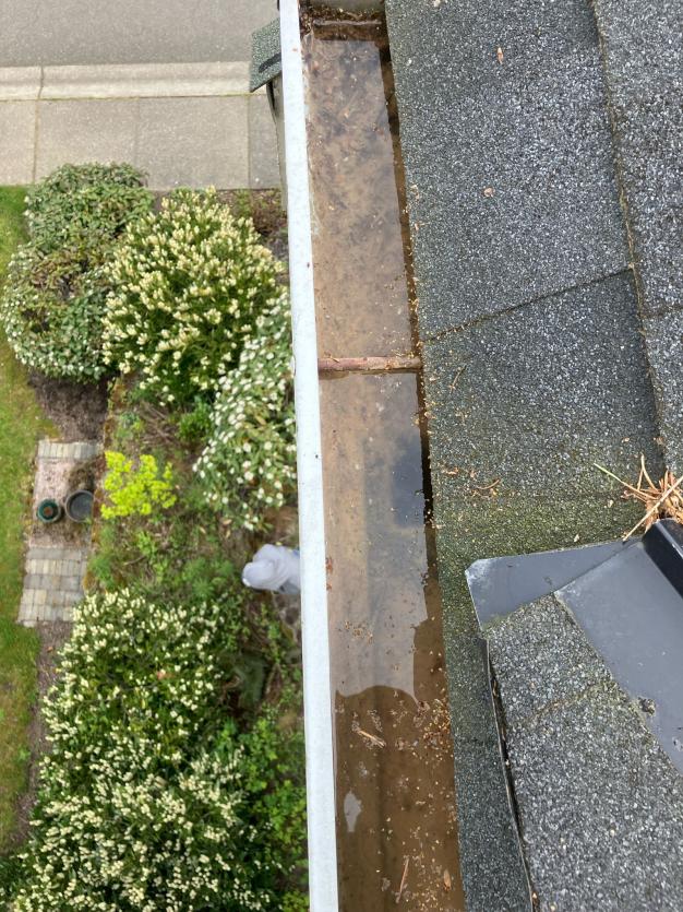 Gutter Cleaning Whittier Heights (2)