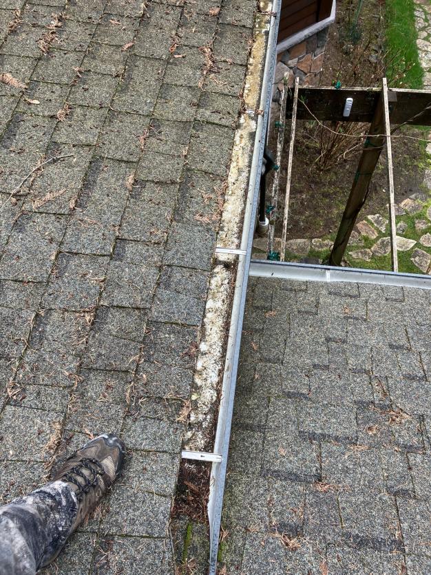 Cleaning gutter clog Georgetown home