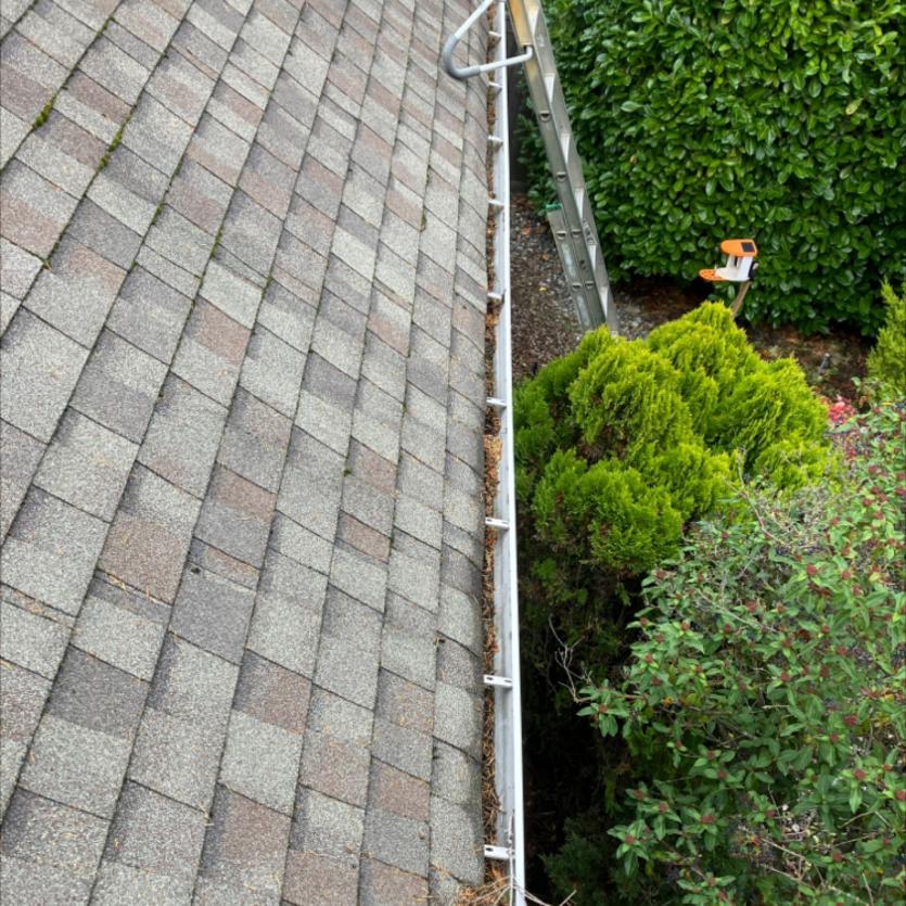 Gutter cleaning company Montlake