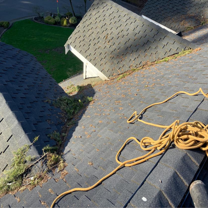 Lake City home roof cleaning