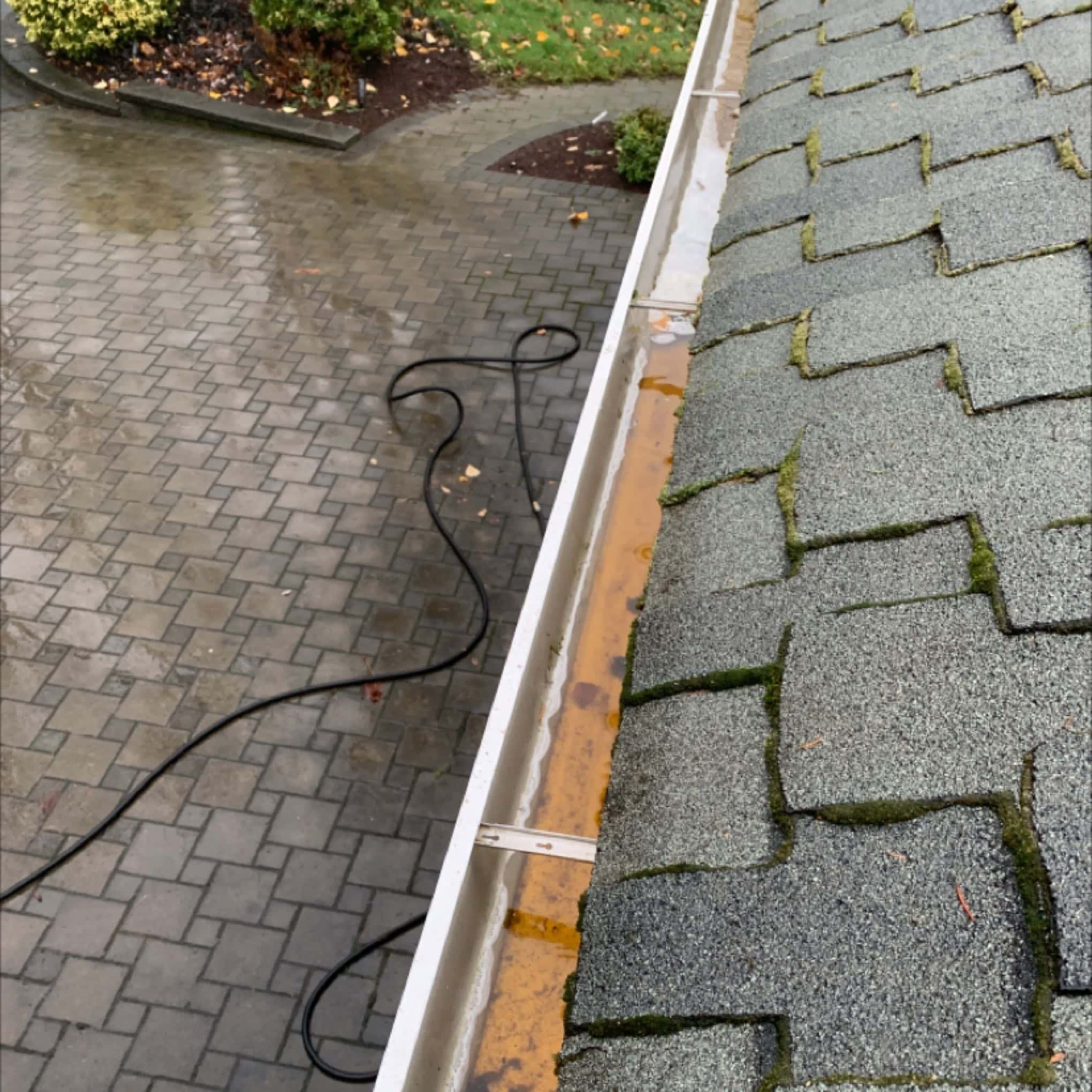 After gutter cleaning services in Leschi neighborhood