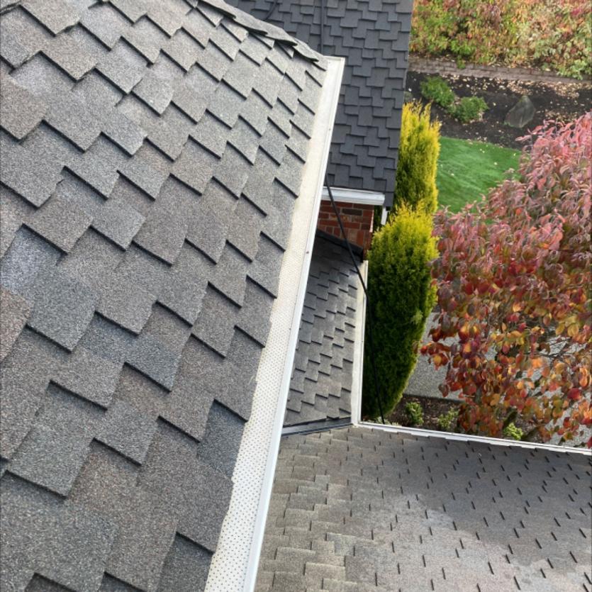 Gutter cleaning in Leschi by Chinook Services