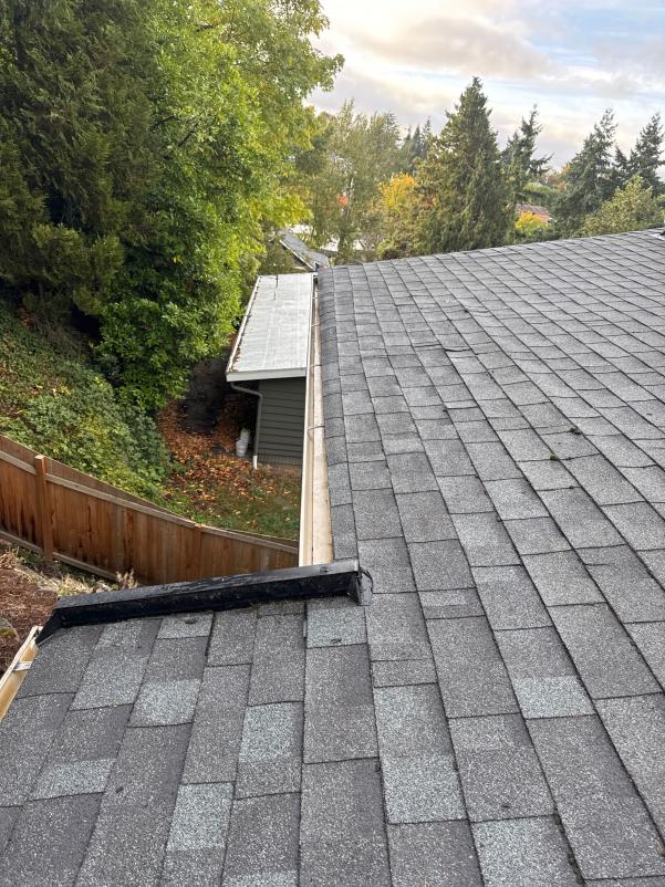 Roof cleaning service Leschi