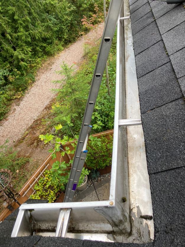 Loyal Heights Gutter Cleaning (1)
