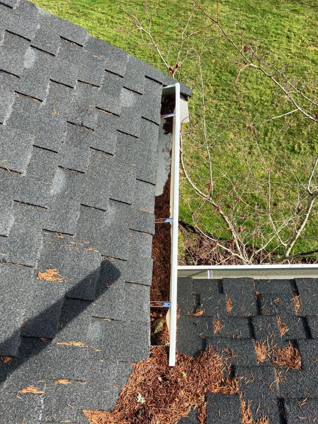 Madison Park gutter cleaning jobsite