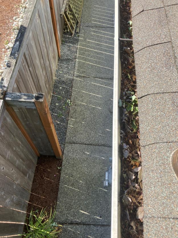 Gutters full of debris before cleaning service in Madison Park