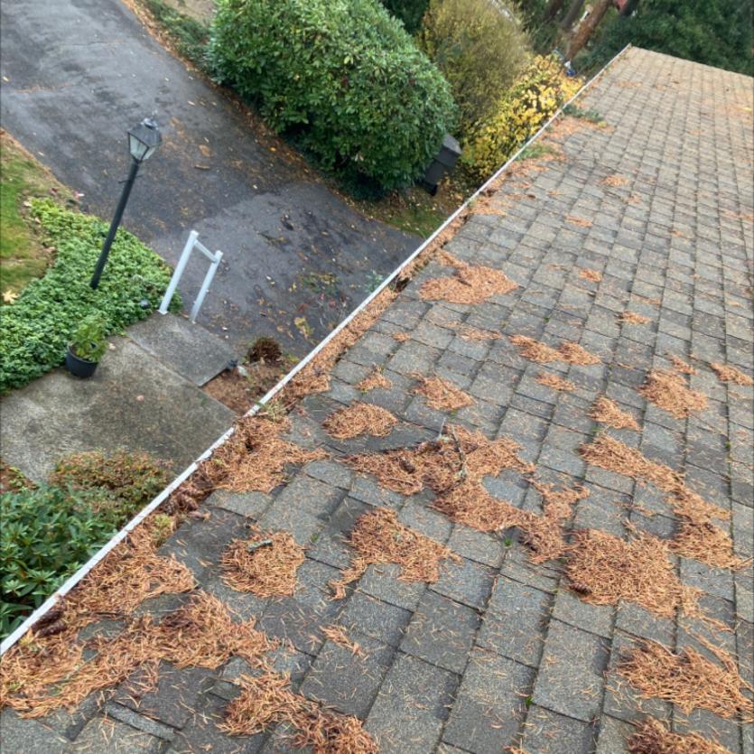 Madrona Roof Cleaning (1)