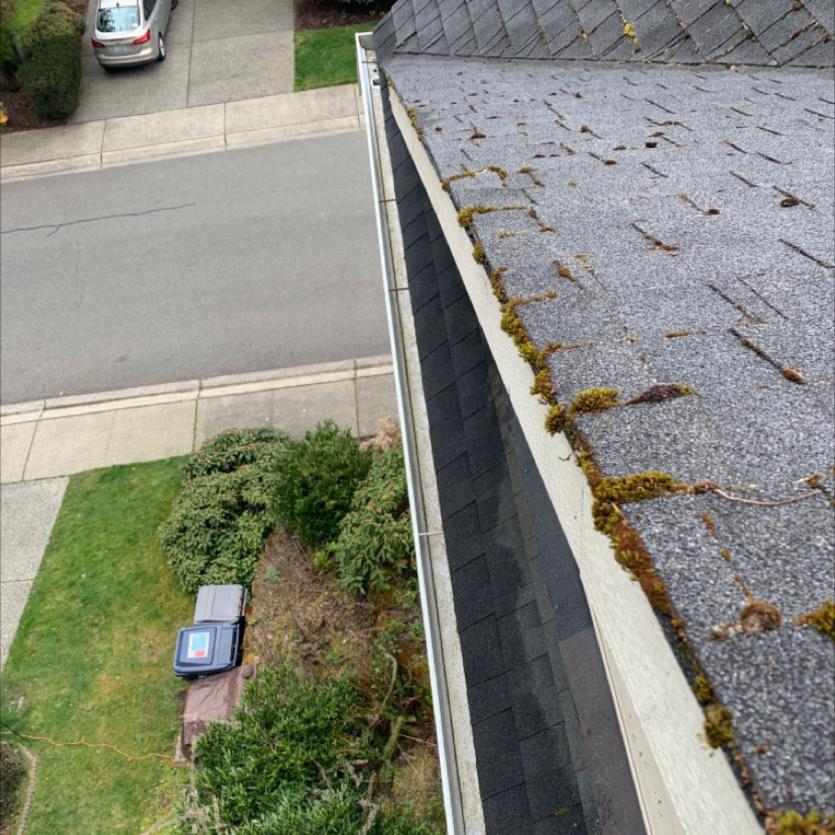 Magnolia Gutter Cleaning (1)