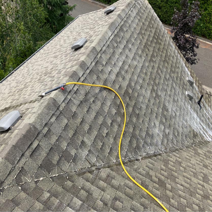 Montlake Roof Cleaning (1)