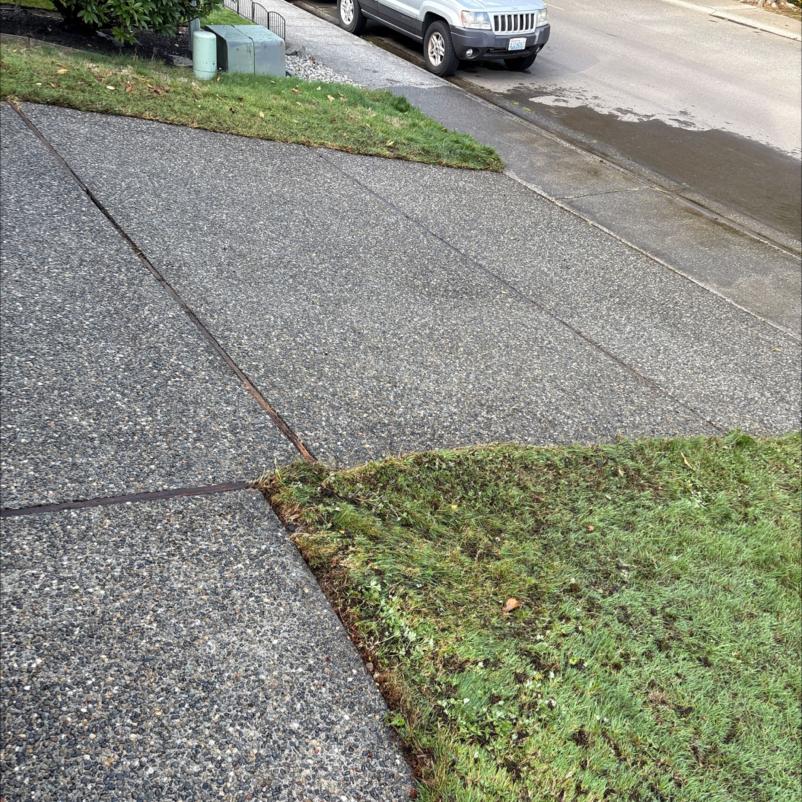 Pressure washing driveway Wallingford area of Seattle