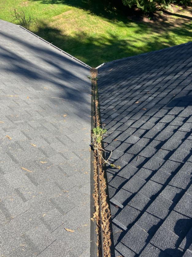 Cleaning steep roof in Arlington, WA