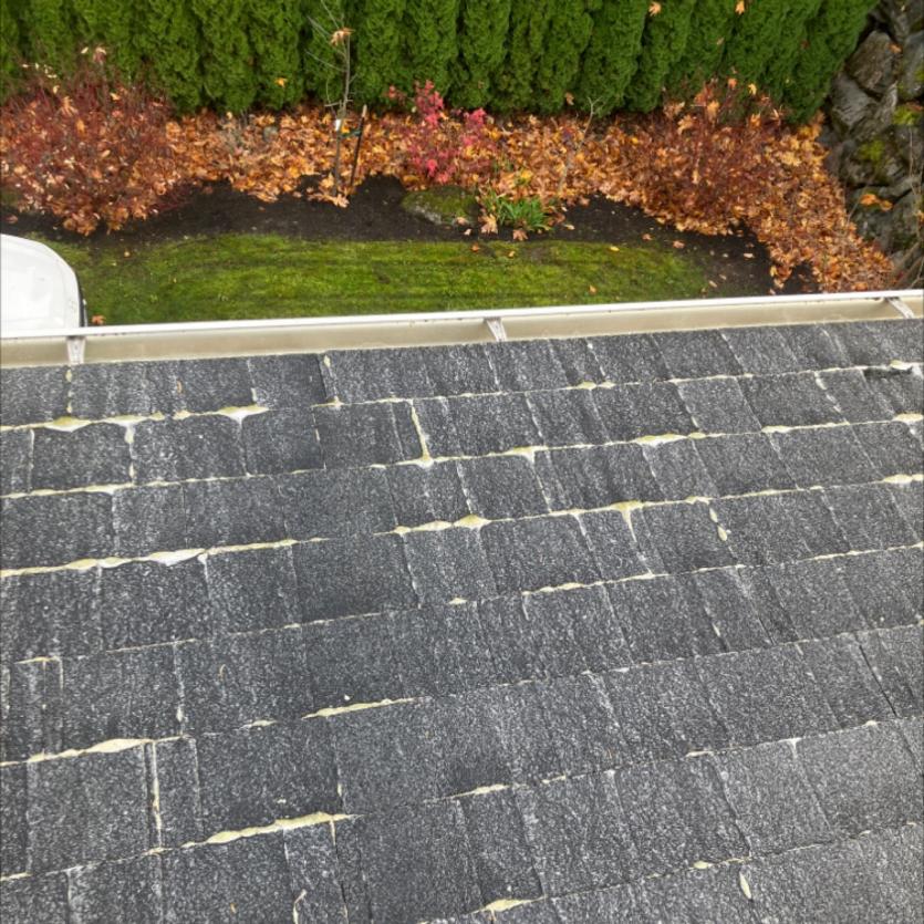 Soft wash moss removal cleaning Arlington, WA