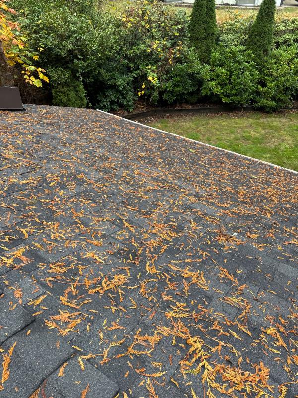 Cleaning and clearing roof debris Arlington, WA
