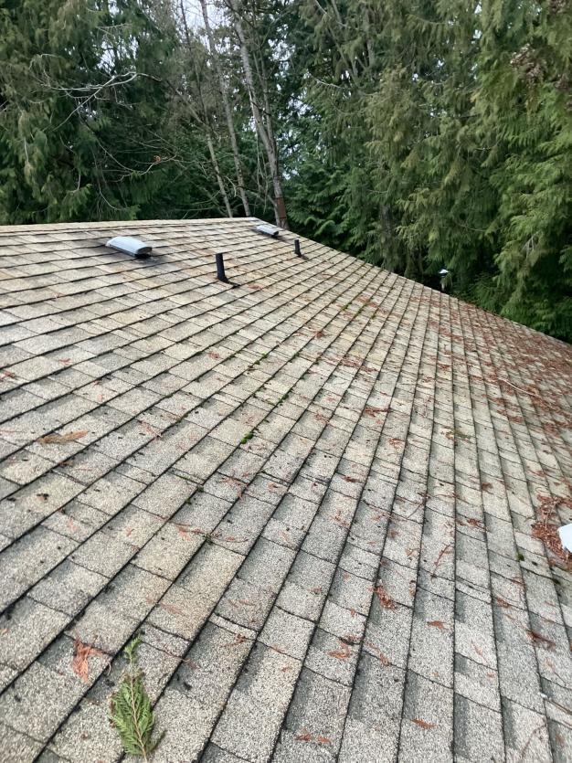 Before roof cleaning Marysville, WA
