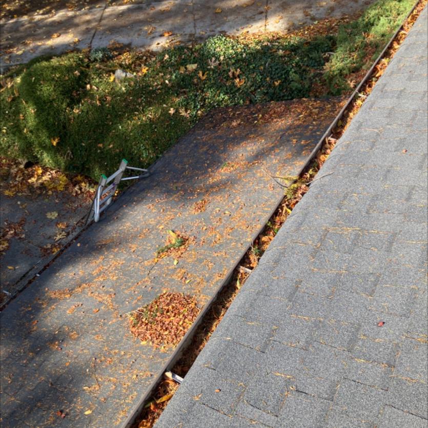 Roof cleaning service with moss soft wash Marysville, WA