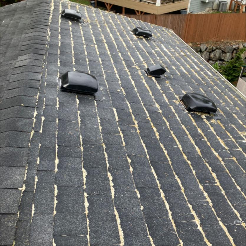 Roof moss soft wash cleaning of home Marysville, WA