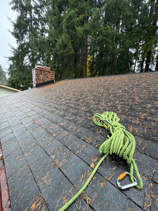 Roof cleaning Queen Anne with safety rope