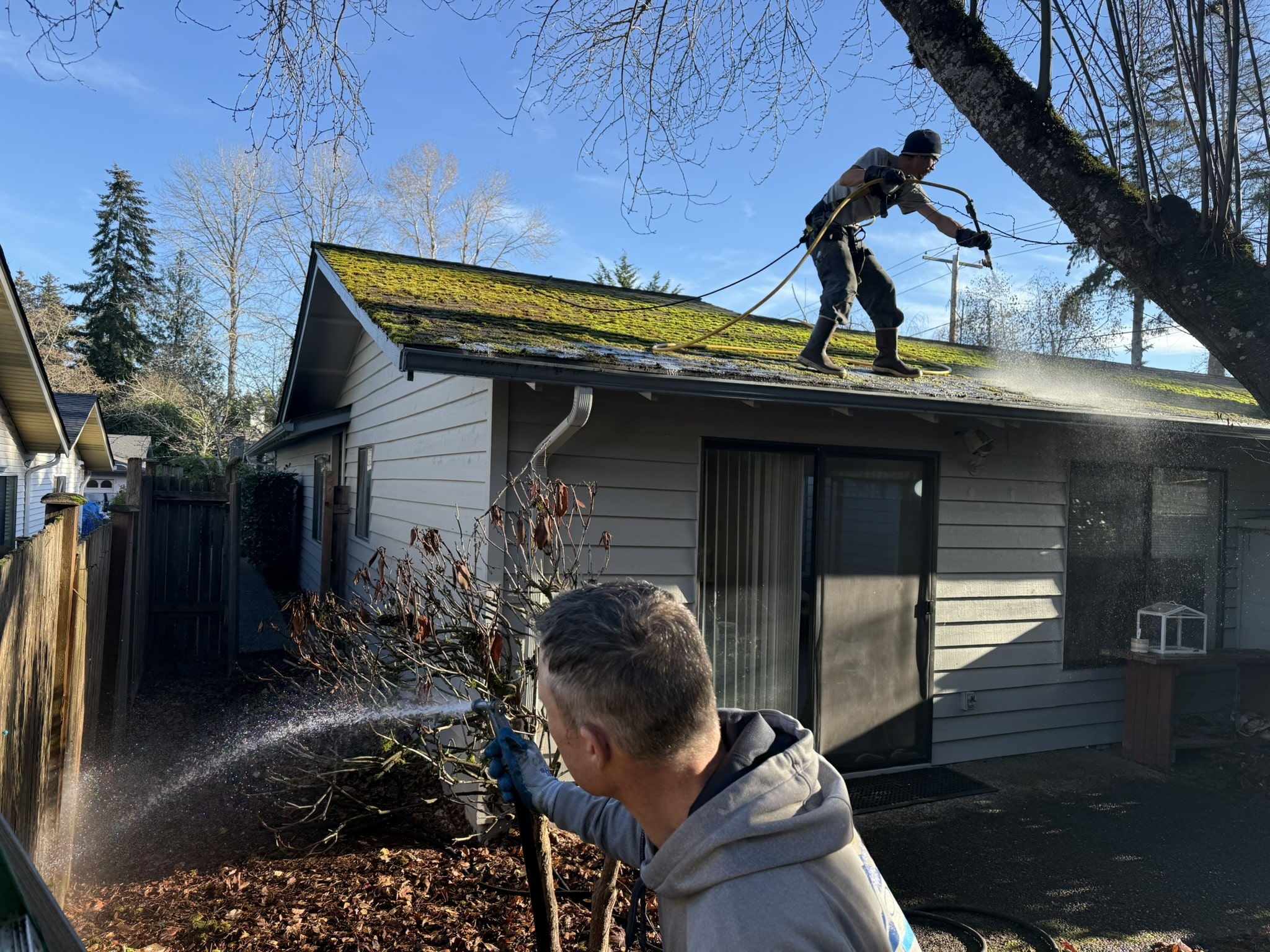 Roof moss soft wash cleaning Seattle, WA