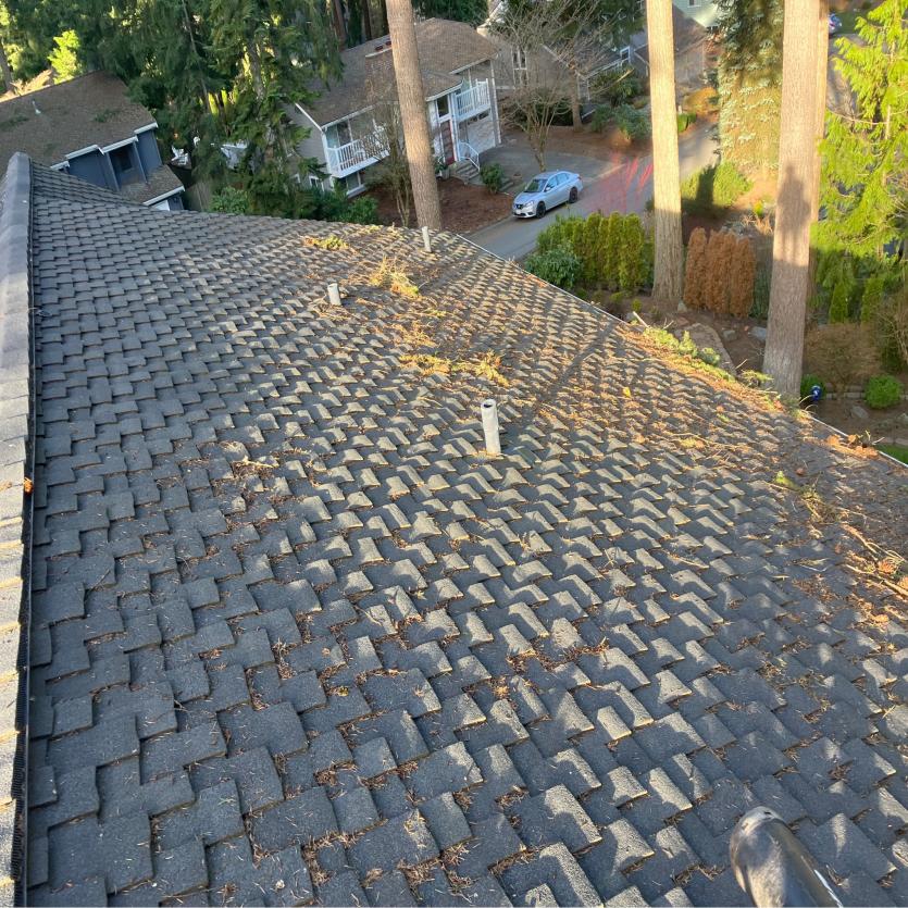 Before roof cleaning Seattle, WA