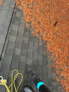 Roof cleaning services Greater Seattle