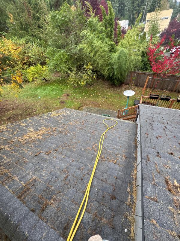 Roof cleaning and moss removal Seward Park