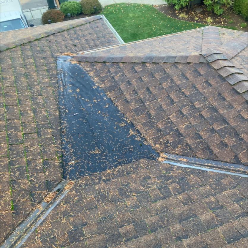 Roof cleaning a home in View Ridge