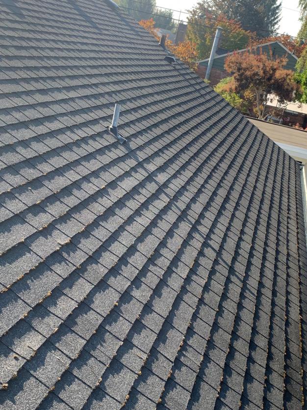 Roof cleaning in Wedgwood area of Seattle