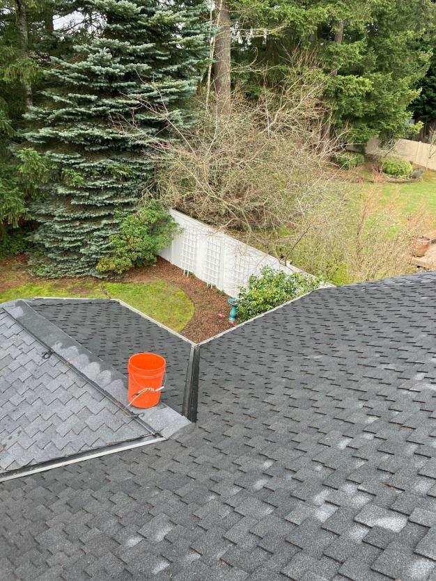 Roof cleaning in Wedgwood neighborhood