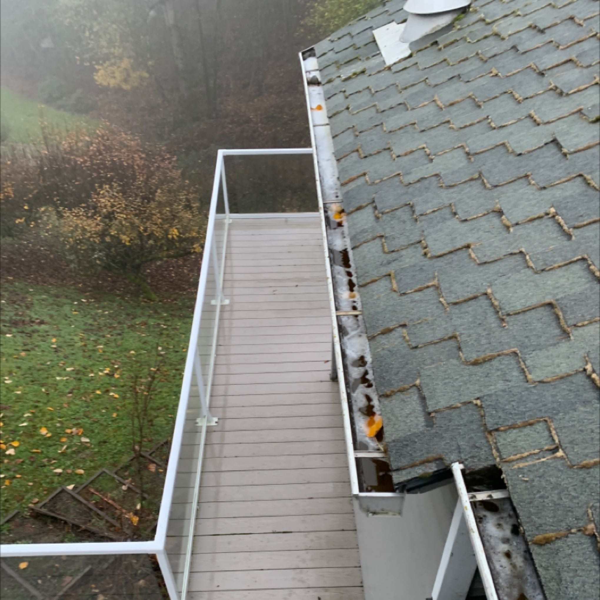 Roof cleaning provider Windermere neighborhood of Seattle