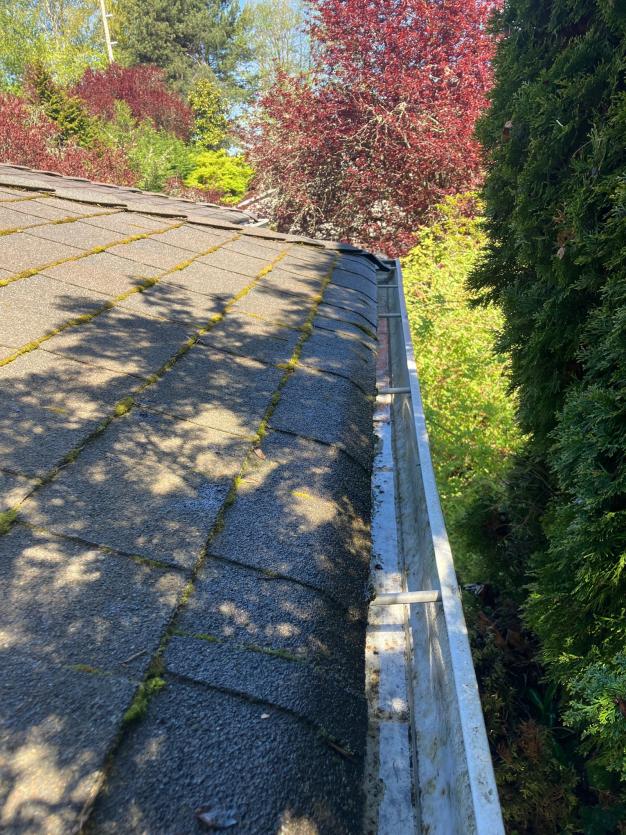 Roof cleaning services Lake City, WA