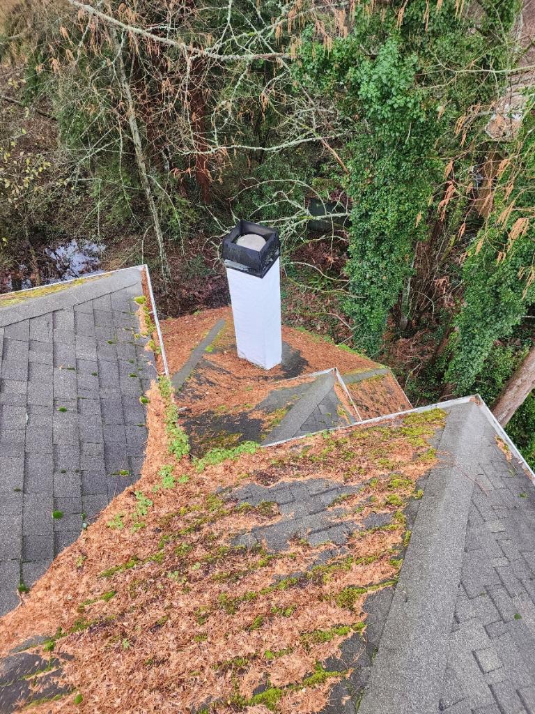 Roof cleaning Leschi Chinook Services