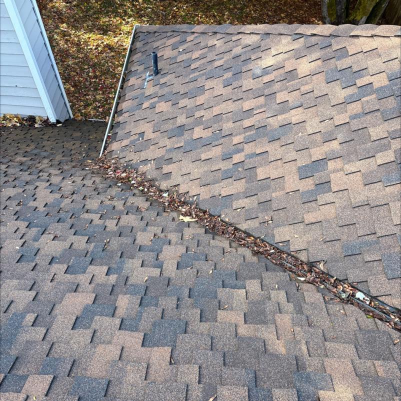 Roof cleaning services before photo Lynnwood, WA