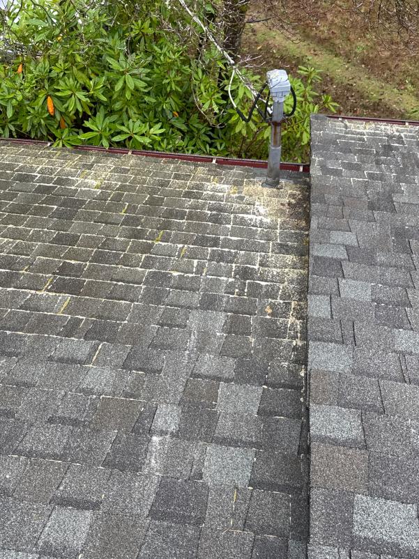roof cleaning services Madrona