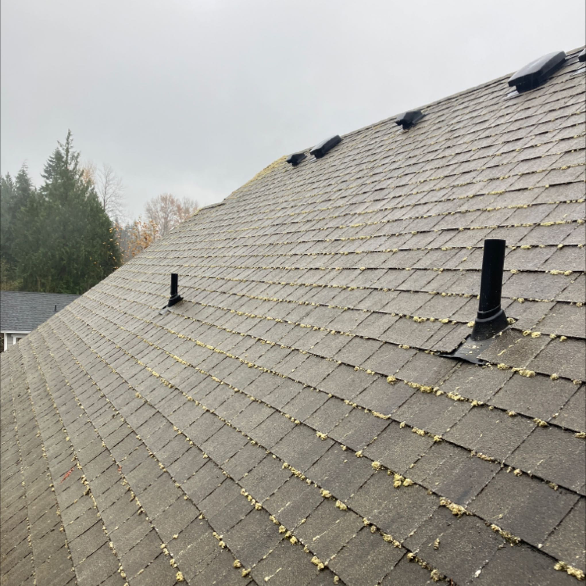 Roof cleaning Mount Baker (1)
